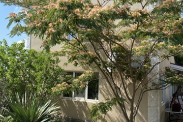 Дом, 146,1 м², 2 эт.